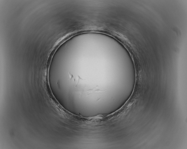 X0000113161220200909181804