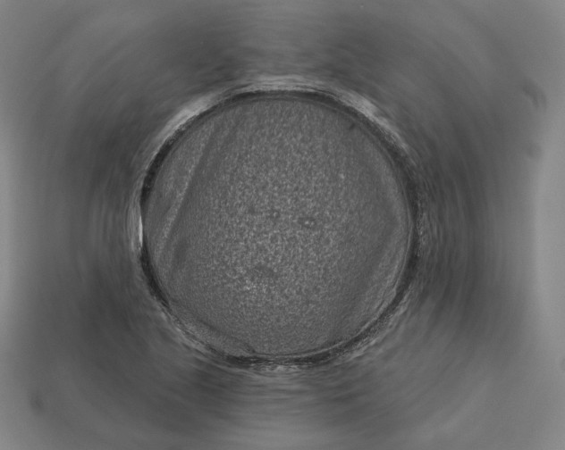 X0000113161221200909181804