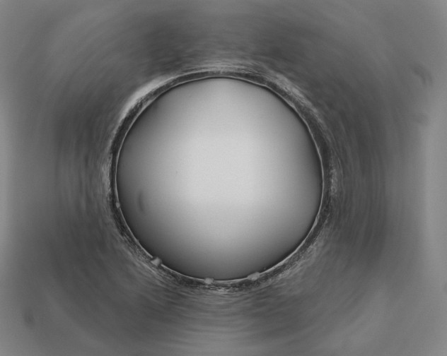 X0000113161222200909181804