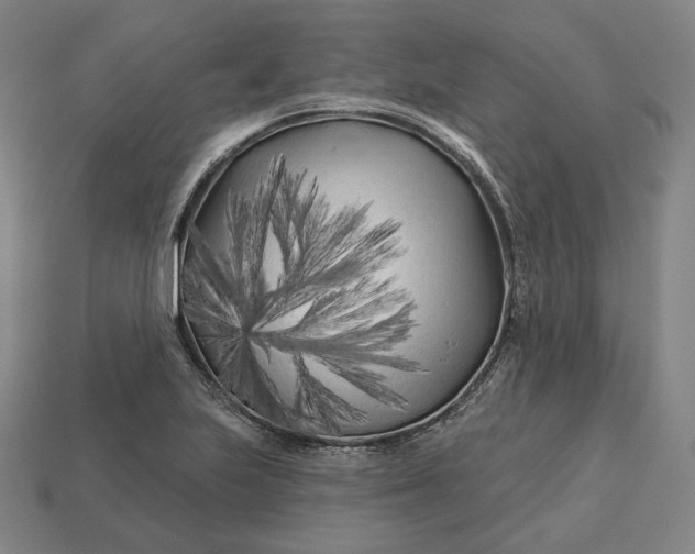 X0000113161223200909181804