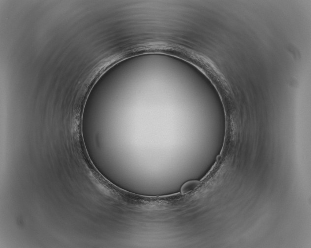 X0000113161225200909181804