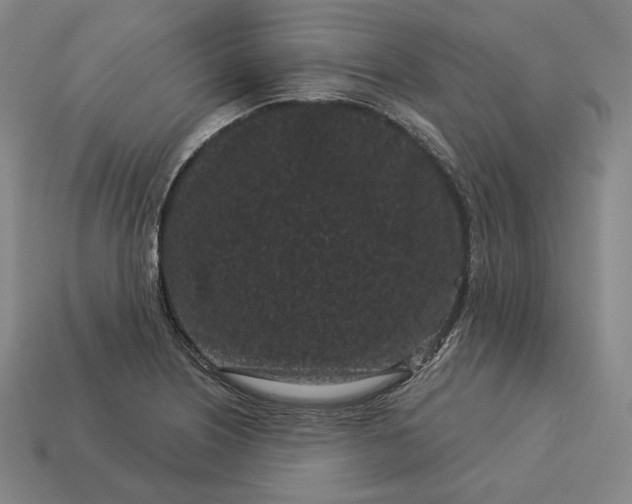 X0000113161226200909181804