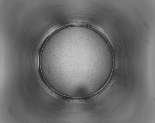 X0000113161227200909181804