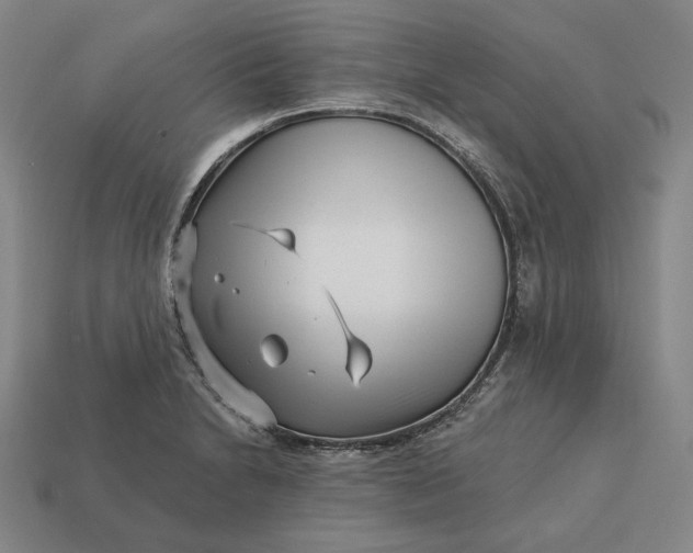 X0000113161230200909181804