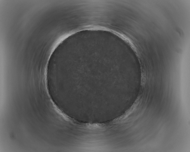 X0000113161231200909181804