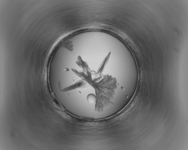 X0000113161232200909181804