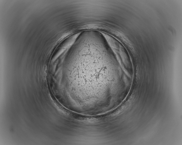 X0000113161233200909181804