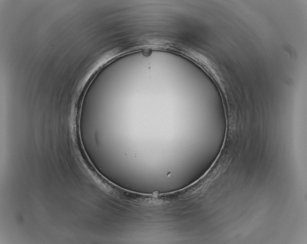 X0000113161235200909181804