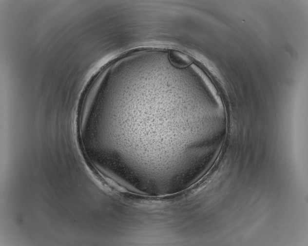 X0000113161237200909181804