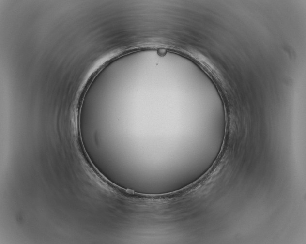 X0000113161238200909181804