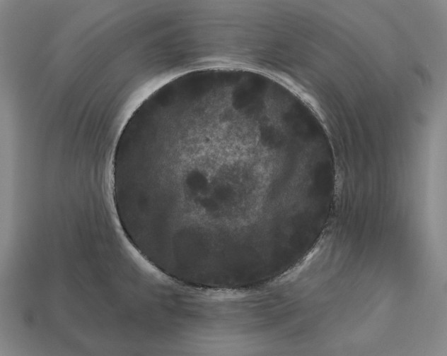 X0000113161239200909181804