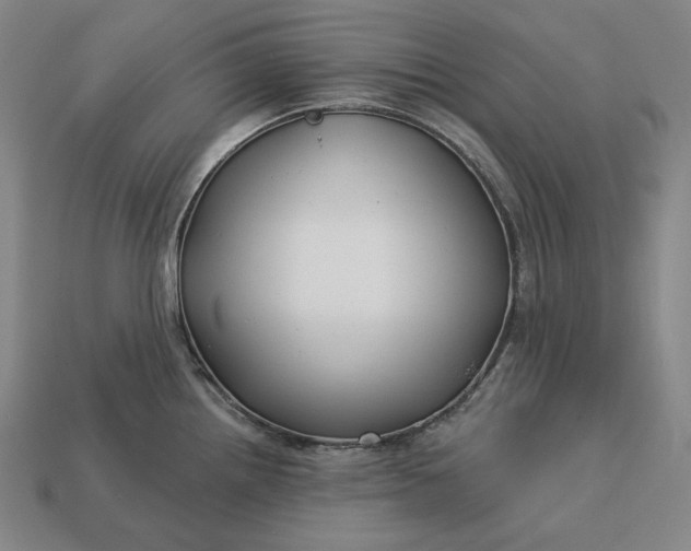 X0000113161242200909181804