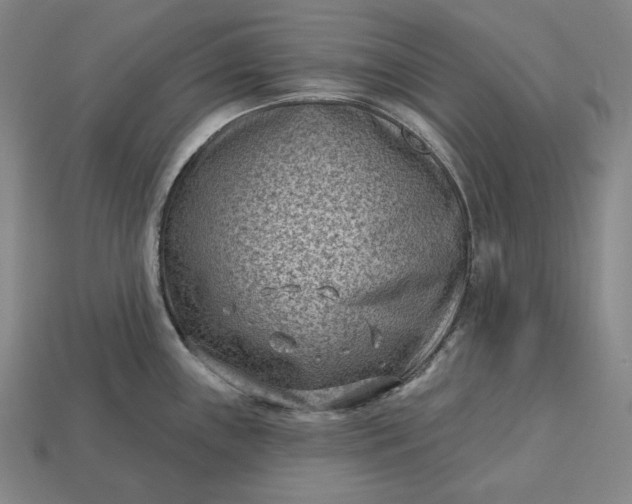 X0000113161243200909181805