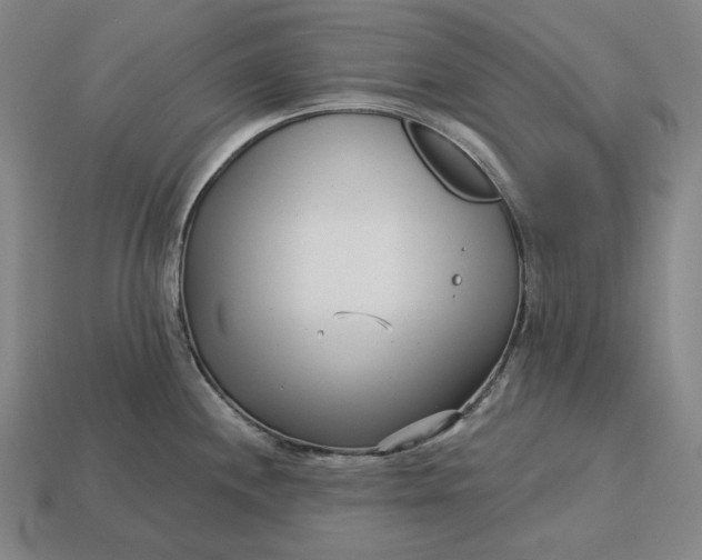 X0000113161244200909181805