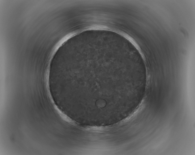 X0000113161245200909181805