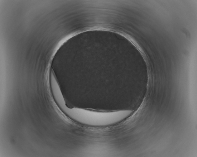 X0000113161246200909181805