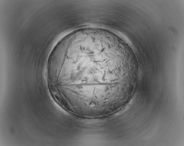 X0000113161247200909181805