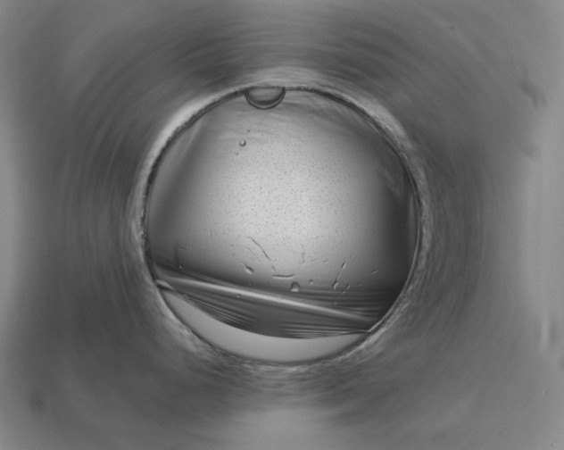 X0000113161248200909181805