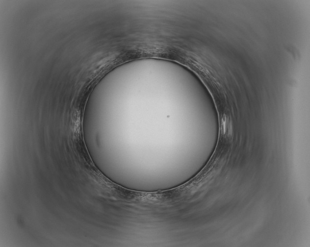 X0000113161251200909181804