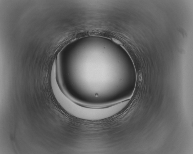 X0000113161252200909181804