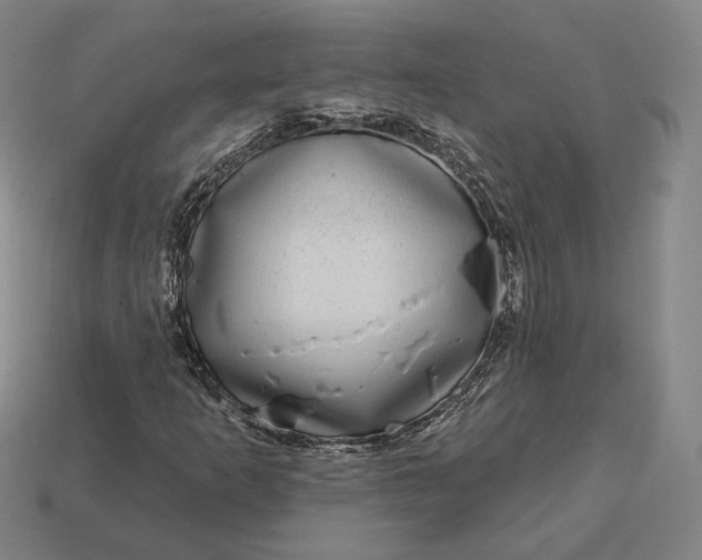 X0000113161253200909181804