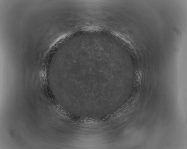 X0000113161254200909181804