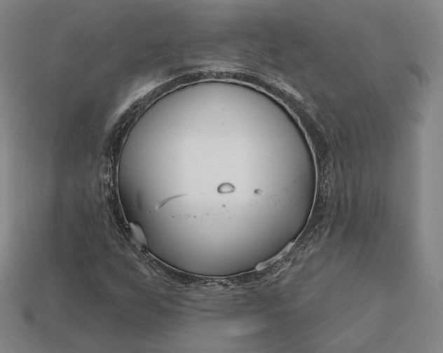 X0000113161255200909181804