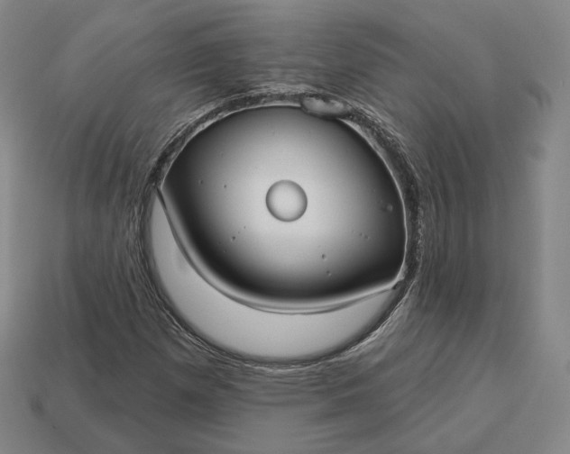 X0000113161257200909181804