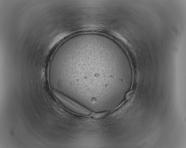 X0000113161259200909181804