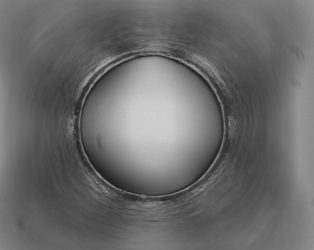 X0000113161260200909181804