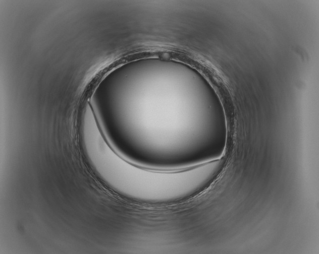 X0000113161261200909181804