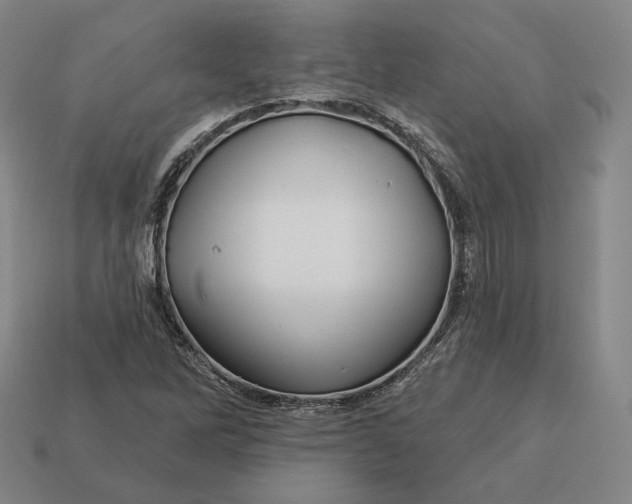 X0000113161262200909181804