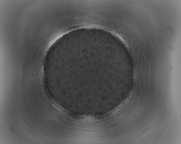 X0000113161263200909181804