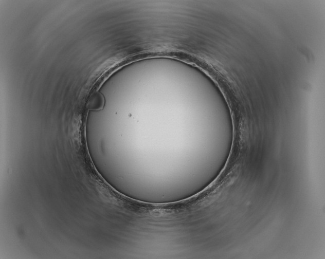 X0000113161265200909181804