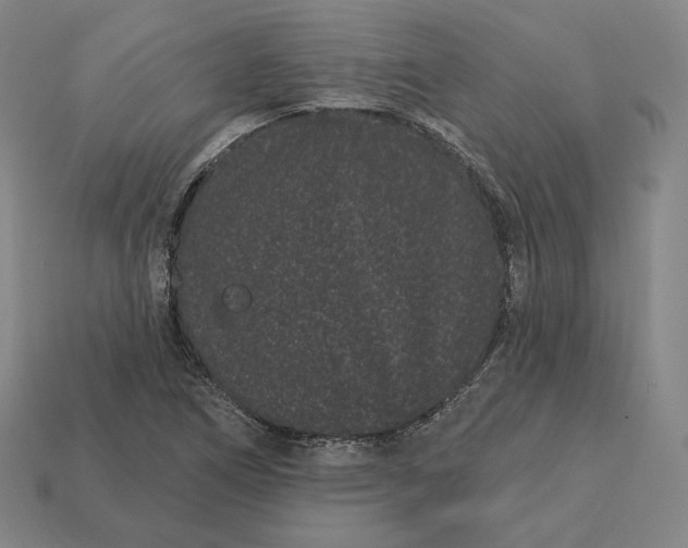 X0000113161266200909181804