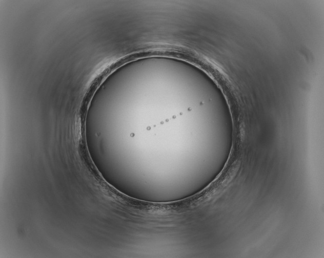 X0000113161267200909181804