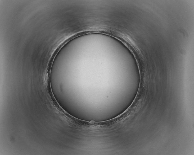 X0000113161268200909181804