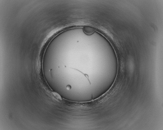 X0000113161270200909181804