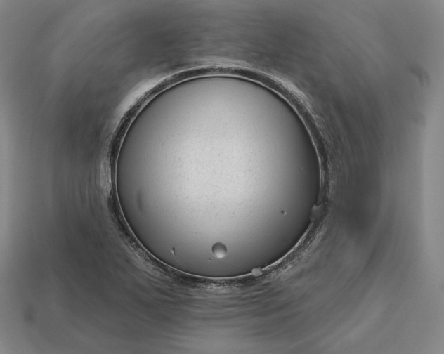 X0000113161271200909181804