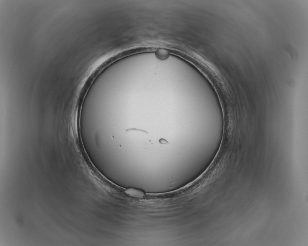 X0000113161272200909181804