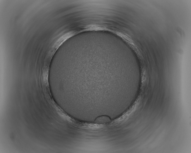 X0000113161273200909181804