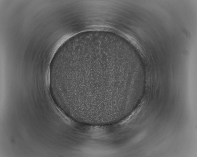 X0000113161275200909181804