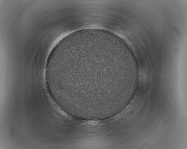 X0000113161278200909181803