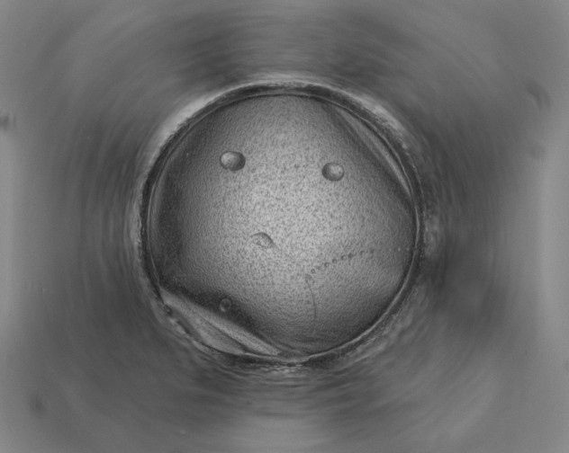 X0000113161279200909181803