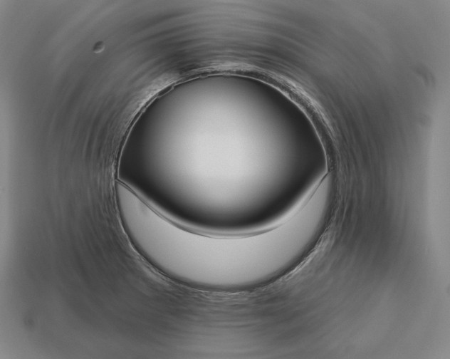 X0000113161281200909181803