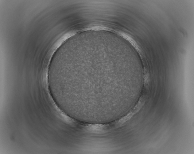 X0000113161282200909181803