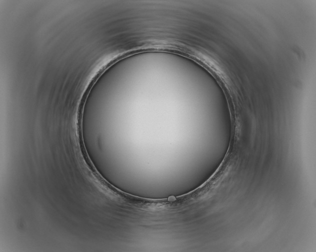 X0000113161283200909181803