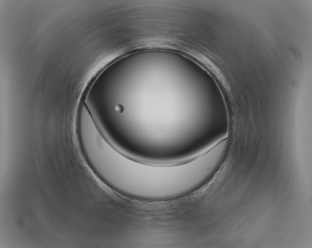 X0000113161285200909181803