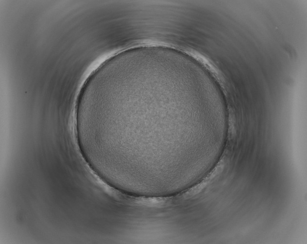 X0000113161286200909181803