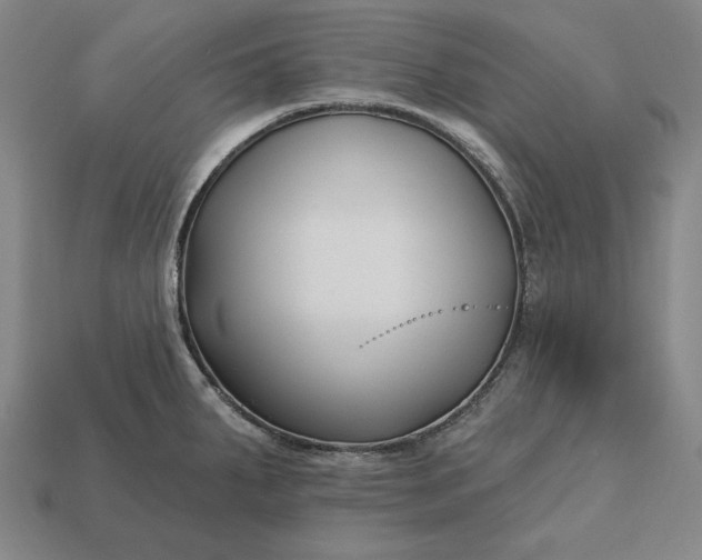 X0000113161287200909181803